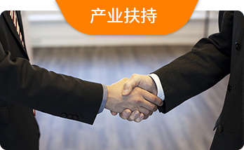 产业扶持